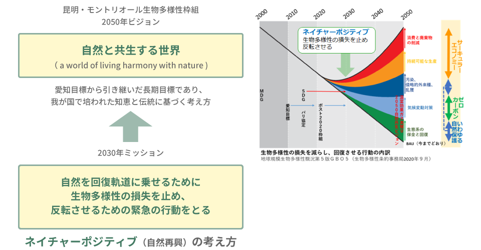 技術士　二次試験対策　ネイチャーポジティブ